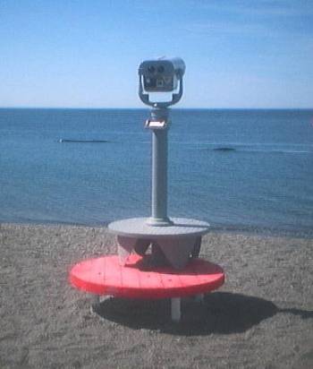 Ballenas en El Doradillo