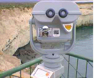 Esperar 5 Fotos de la Lober�a