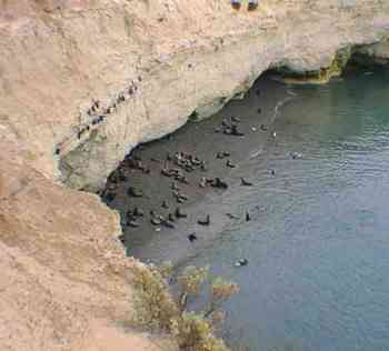 Reserva Faun�stica de Punta Loma